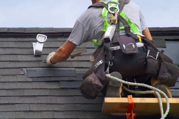 Best Custom Siding Design  in Chauvin, LA