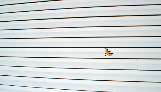 Best Wood Siding Installation  in Chauvin, LA
