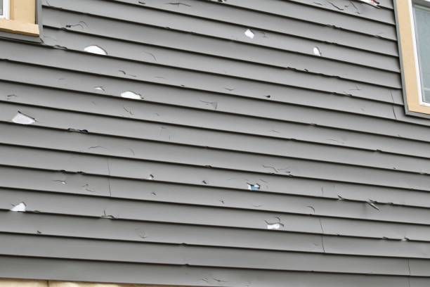Best Insulated Siding Installation  in Chauvin, LA