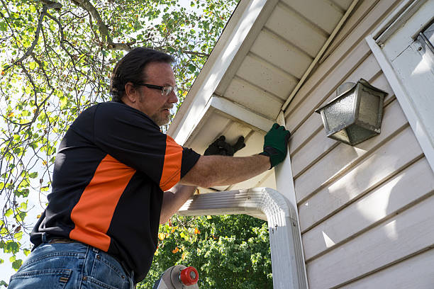 Best Engineered Wood Siding  in Chauvin, LA
