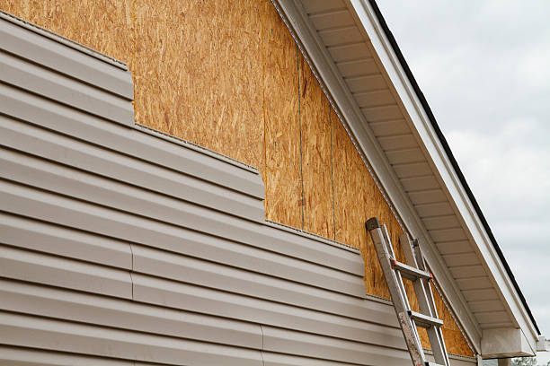 Best Historical Building Siding Restoration  in Chauvin, LA